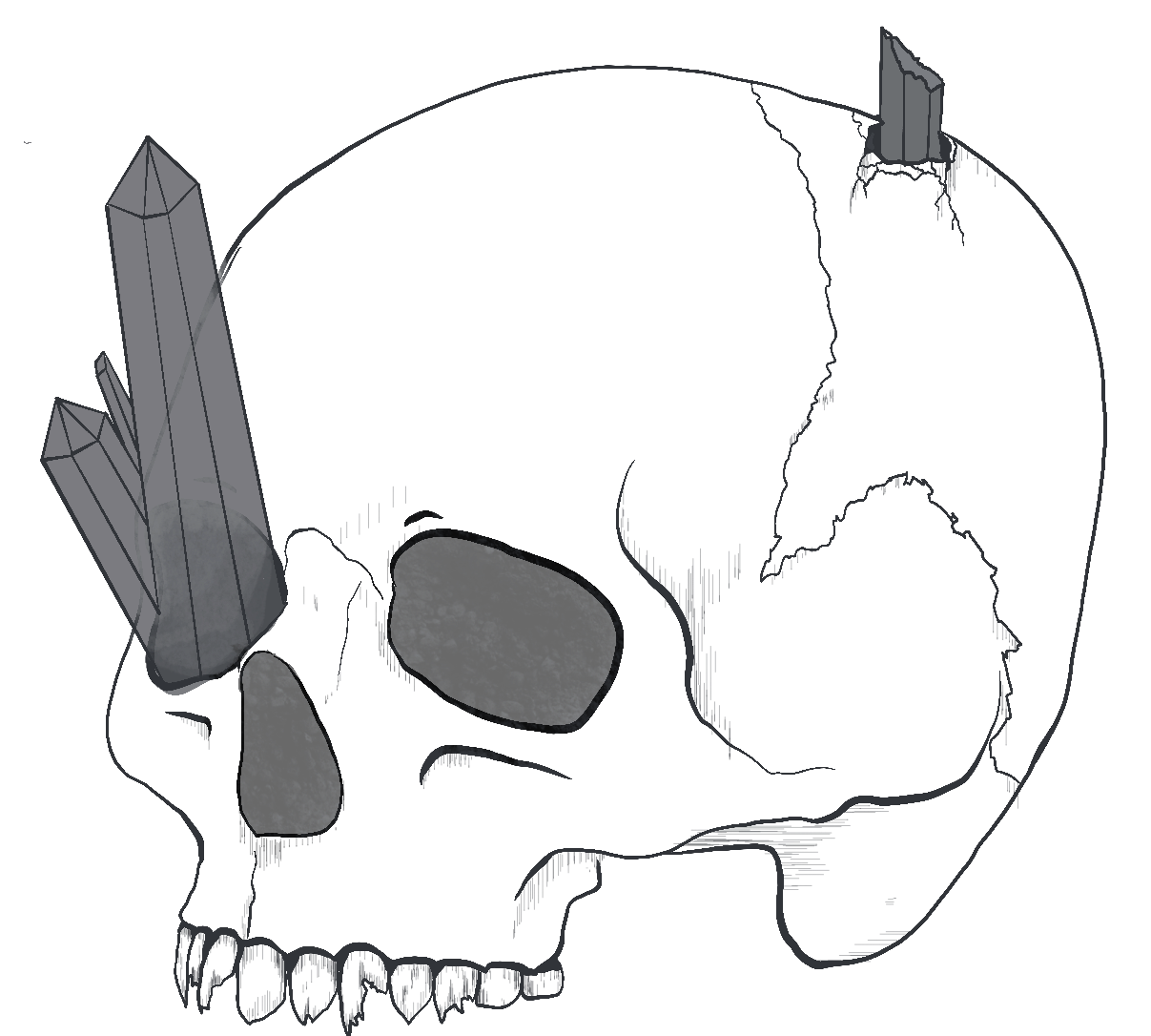 Transparent skull sketch with crystals