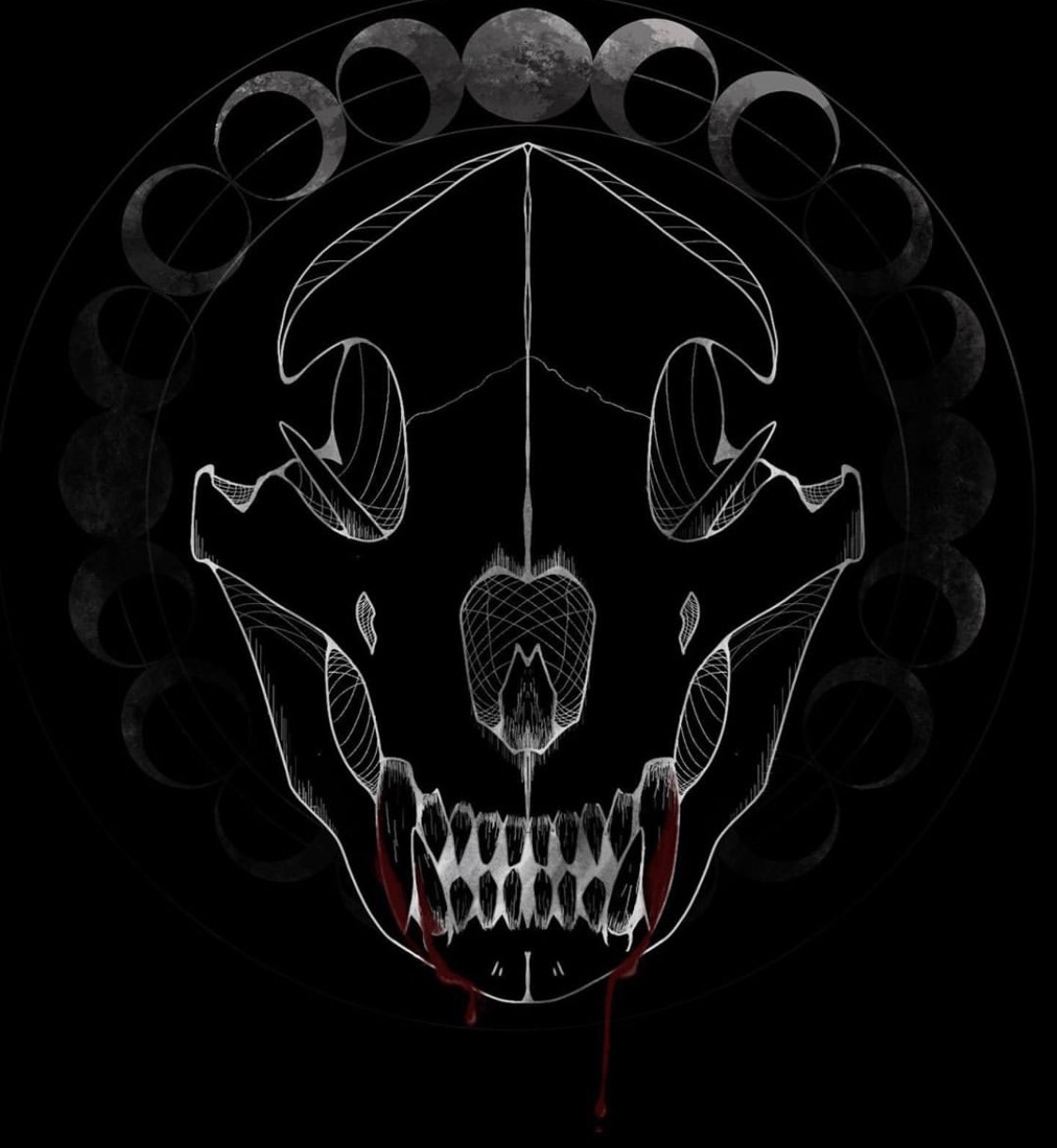 Wolf skull on black background
